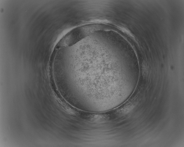 X0000068851412200605081203