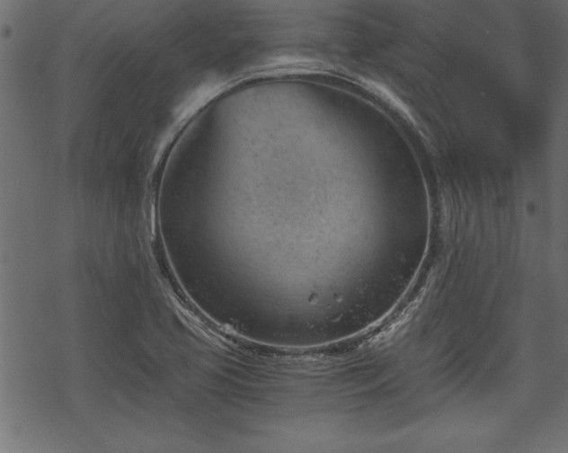 X0000068851413200605081203