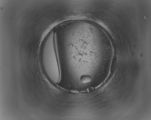 X0000068851414200605081203