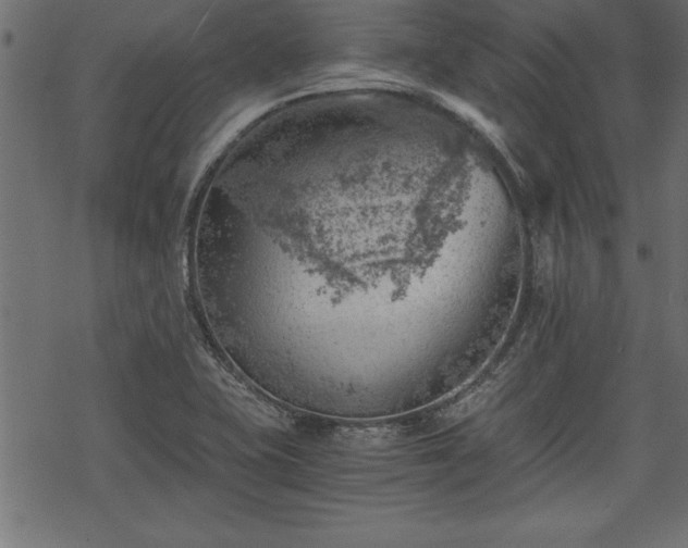 X0000068851415200605081203