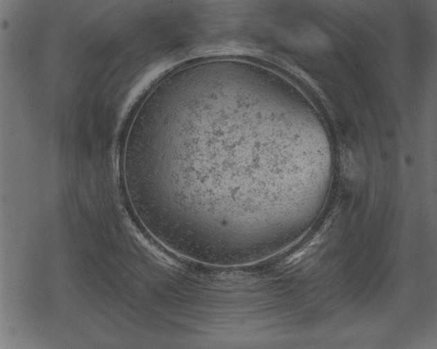 X0000068851416200605081203