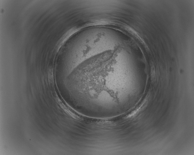 X0000068851417200605081203