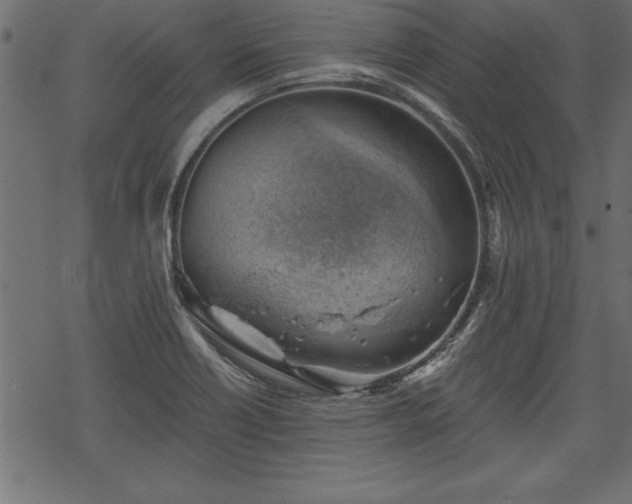 X0000068851418200605081203