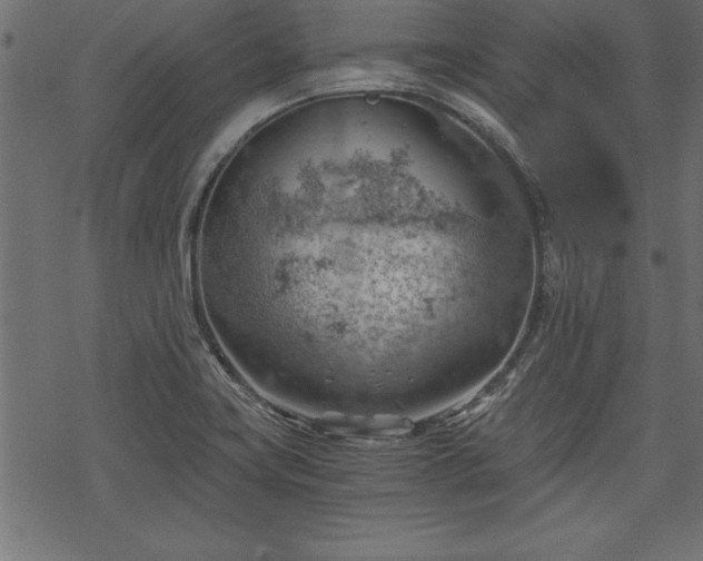 X0000068851419200605081203