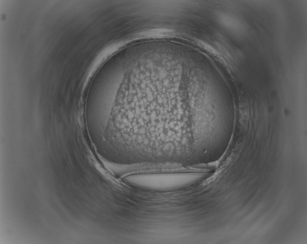 X0000068851421200605081203