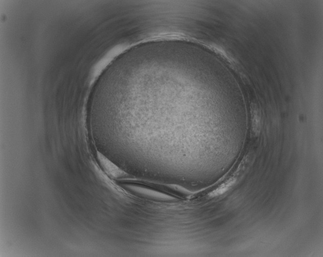 X0000068851422200605081203