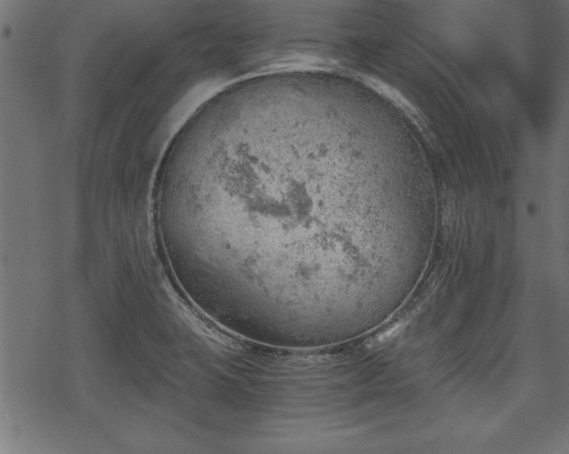 X0000068851423200605081203