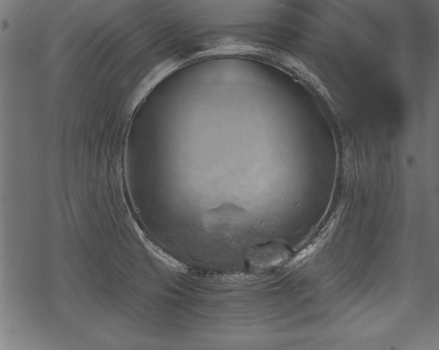 X0000068851425200605081203