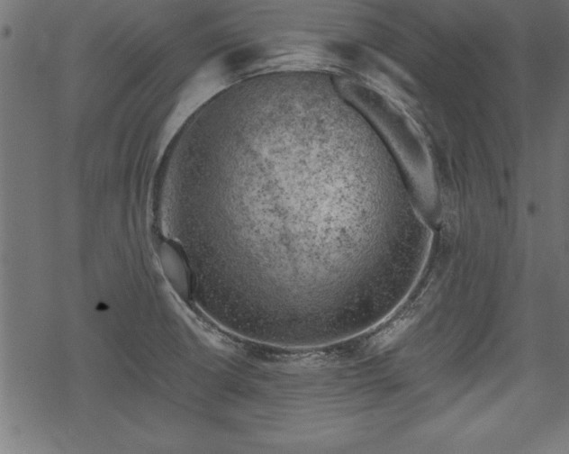 X0000068851426200605081203