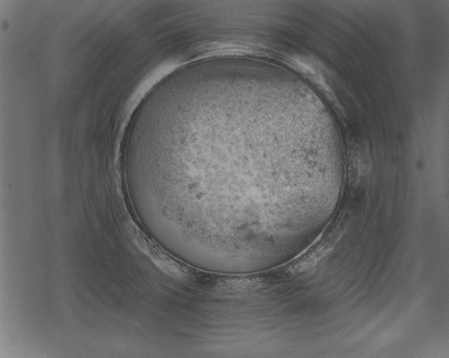 X0000068851427200605081203