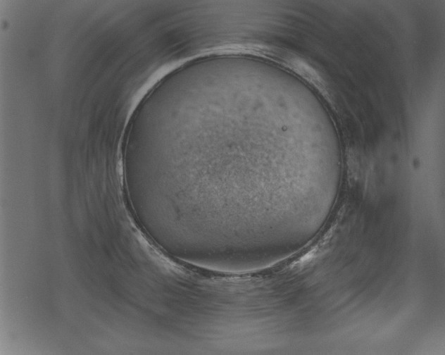 X0000068851428200605081203