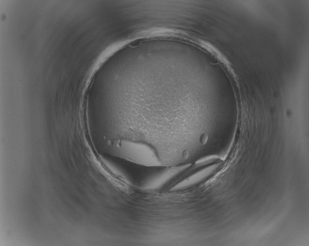 X0000068851429200605081203