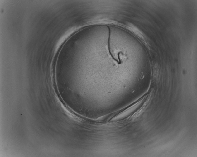 X0000068851430200605081203