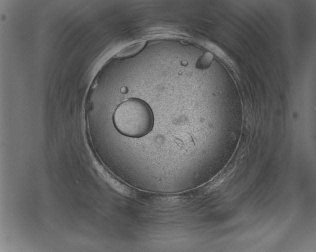 X0000068851431200605081203