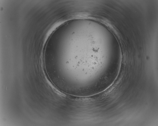 X0000068851432200605081203