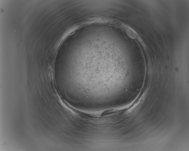 X0000068851433200605081203