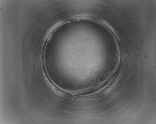 X0000068851434200605081203