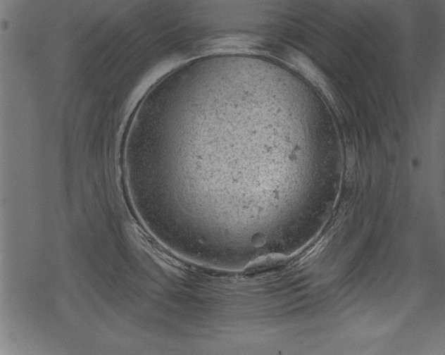 X0000068851435200605081203