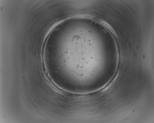 X0000068851436200605081203