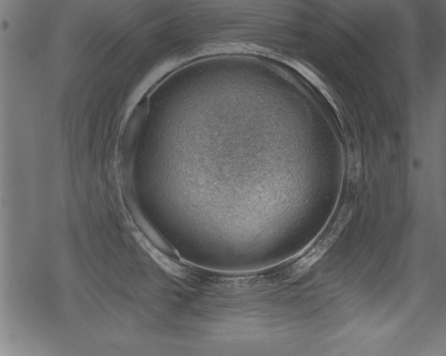 X0000068851438200605081203