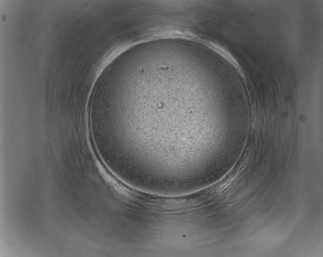 X0000068851439200605081203