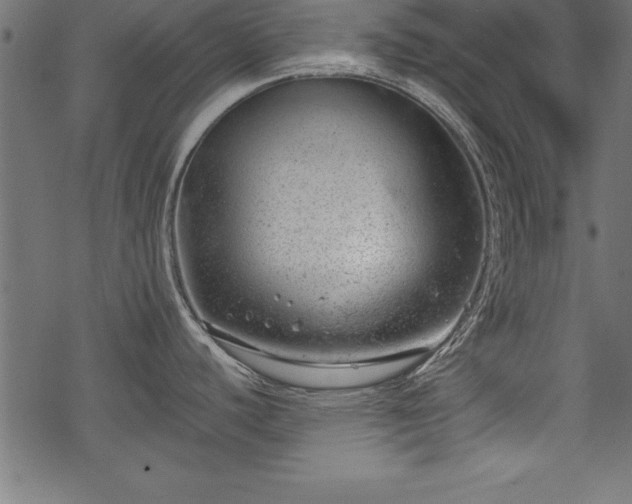 X0000068851440200605081203