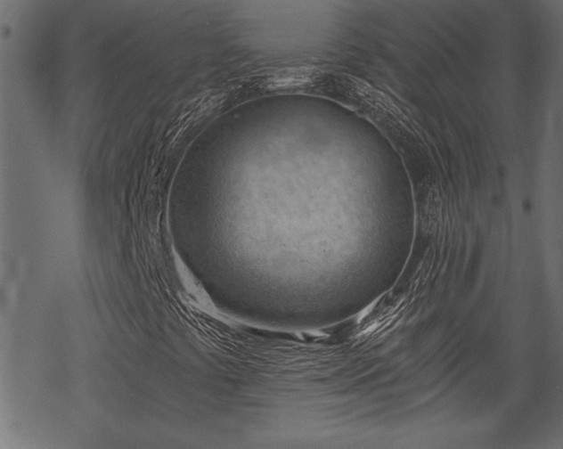 X0000068851441200605081203