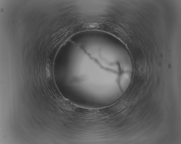 X0000068851442200605081203