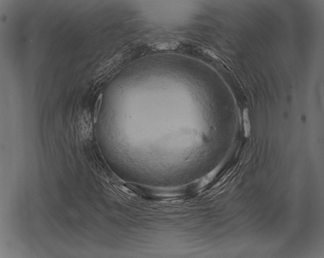 X0000068851443200605081203