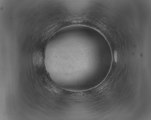 X0000068851444200605081203