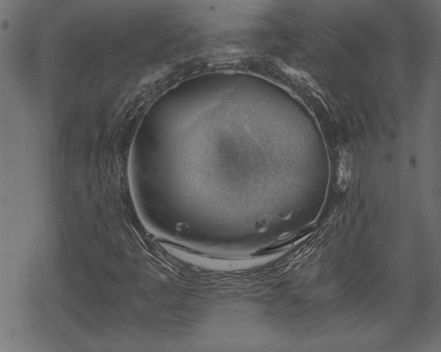 X0000068851445200605081203