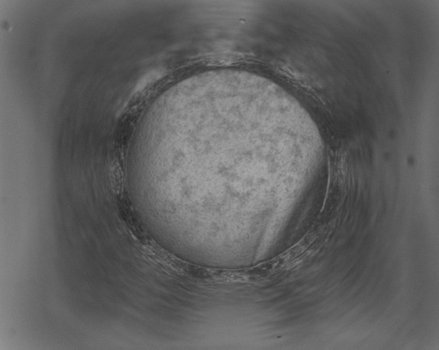 X0000068851446200605081203