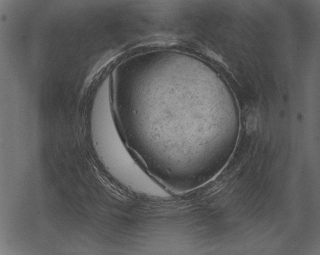 X0000068851448200605081203