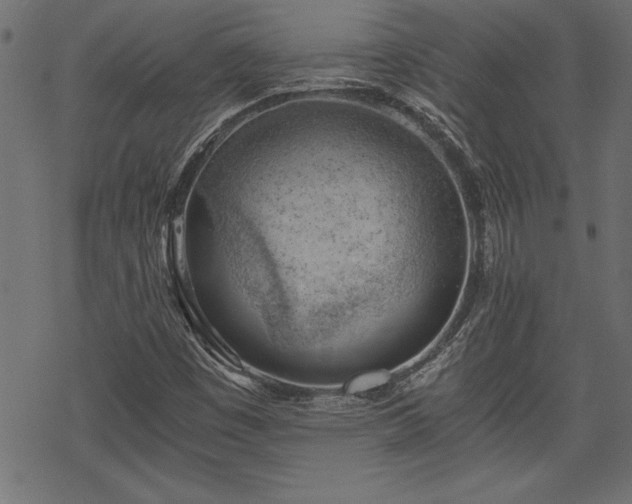 X0000068851449200605081203