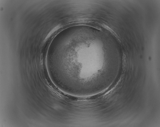 X0000068851450200605081203