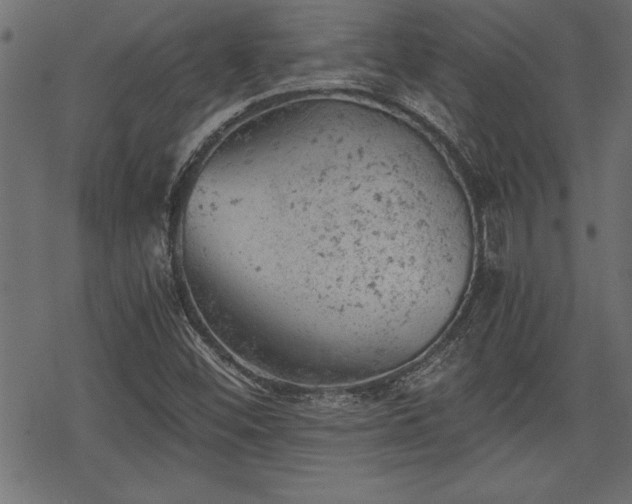 X0000068851452200605081202