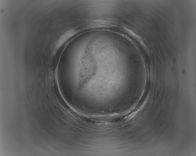 X0000068851453200605081202