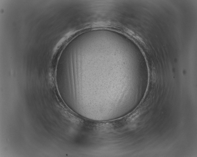 X0000068851454200605081202