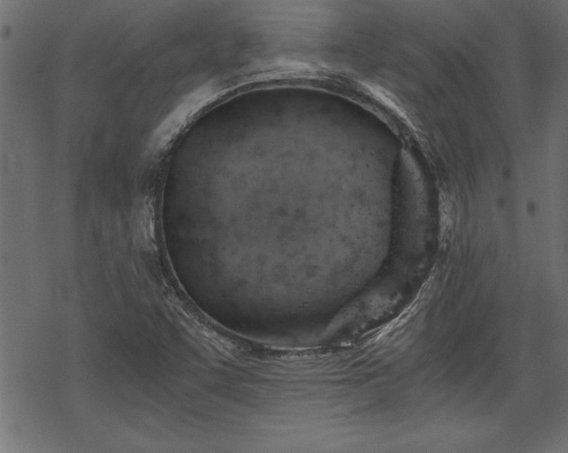 X0000068851455200605081202