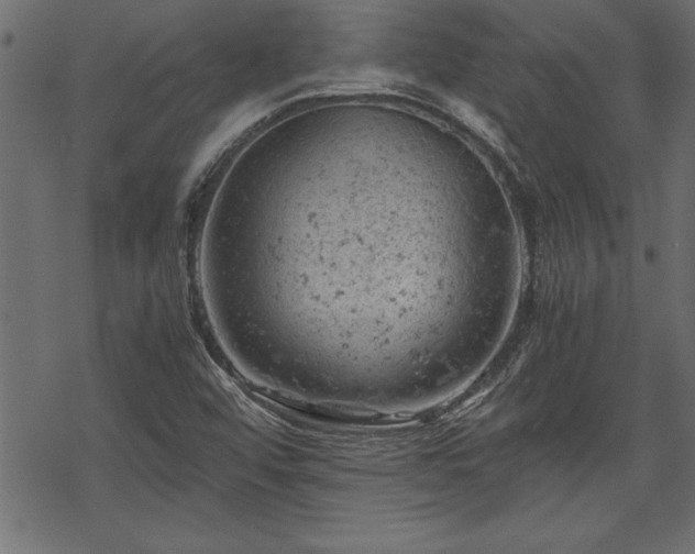 X0000068851456200605081202