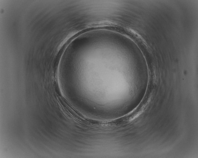 X0000068851457200605081202