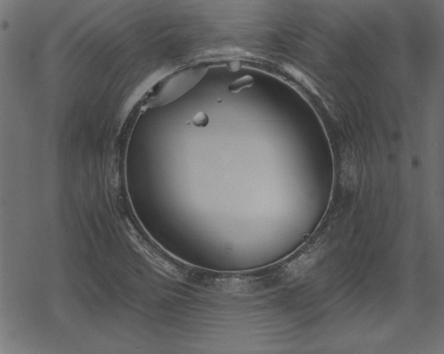 X0000068851458200605081202