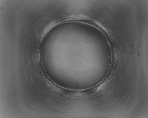 X0000068851459200605081202