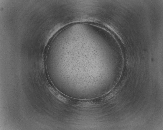 X0000068851460200605081202