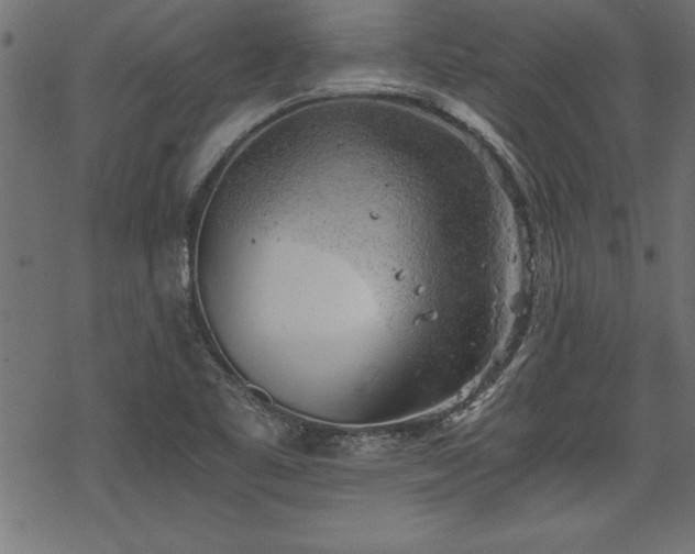 X0000068851461200605081202