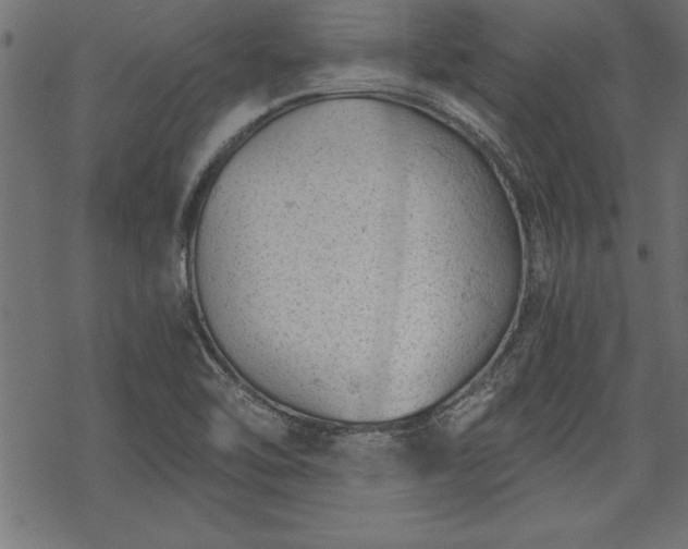 X0000068851462200605081202