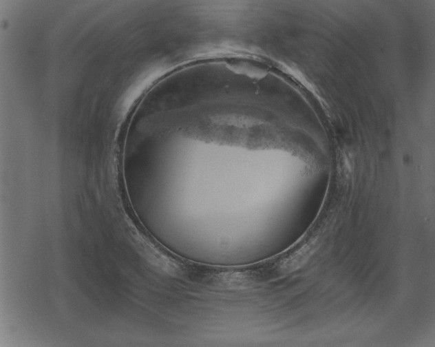 X0000068851463200605081202