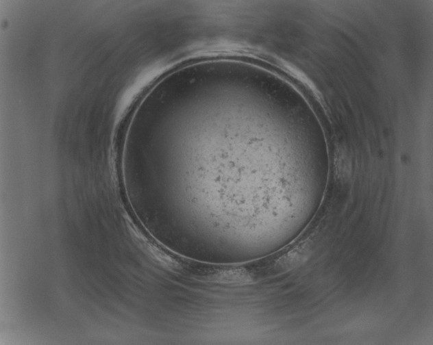 X0000068851464200605081202