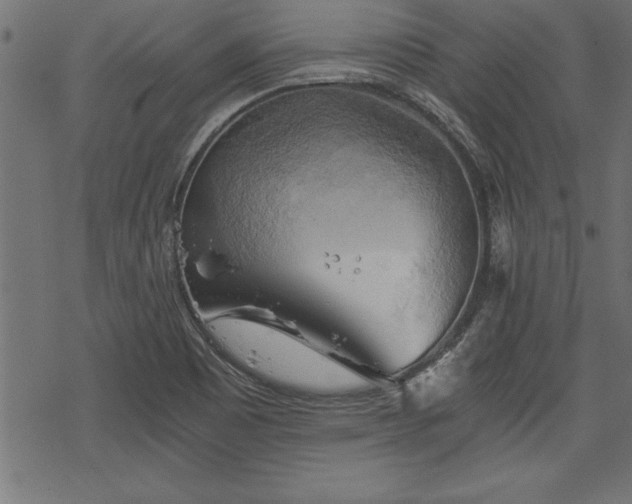 X0000068851465200605081202