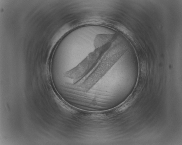 X0000068851466200605081202